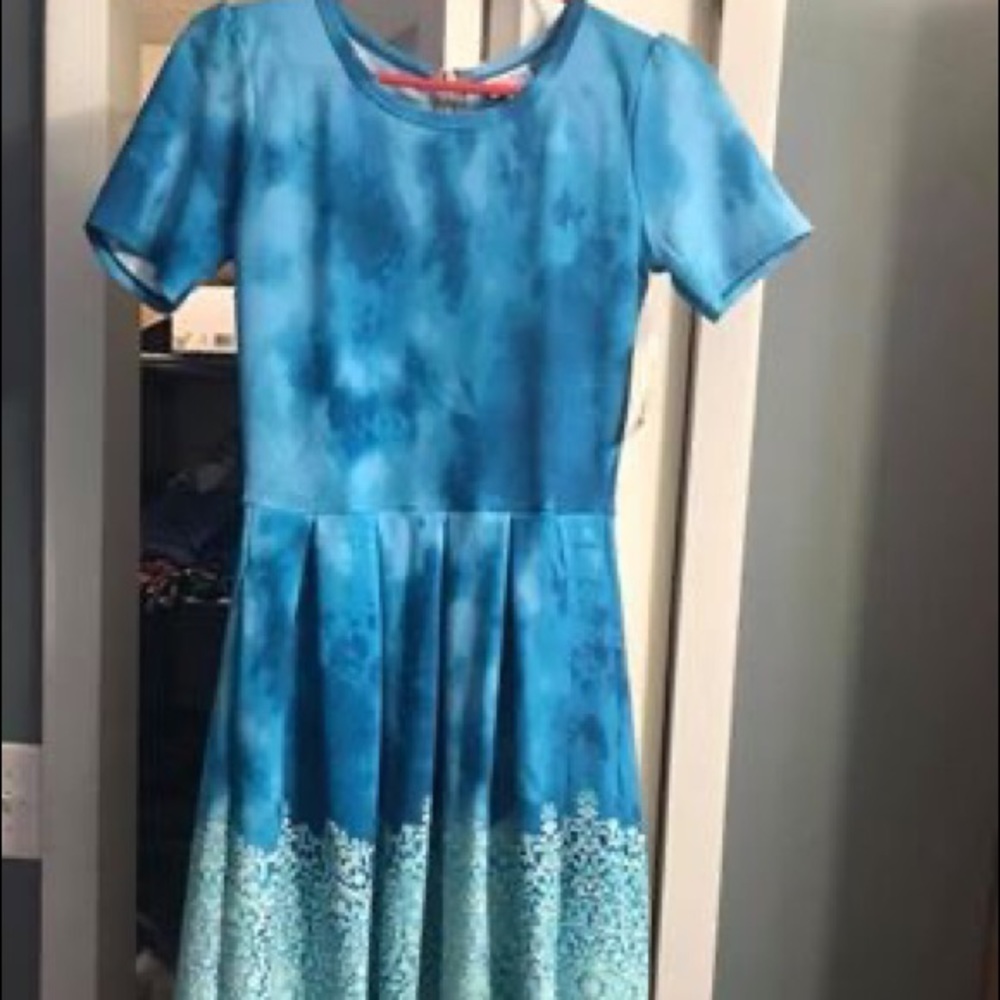 Lularoe Amelia dress - size small
